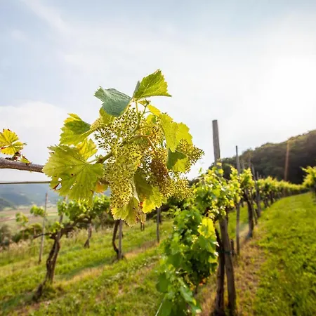 Fattoria Le Vegre ファームステイ *