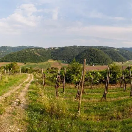 Fattoria Le Vegre Arcugnano