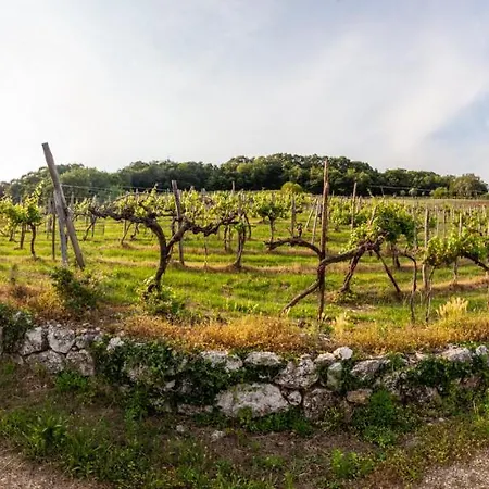 Fattoria Le Vegre Farmház