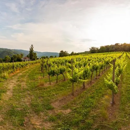 Fattoria Le Vegre ファームステイ