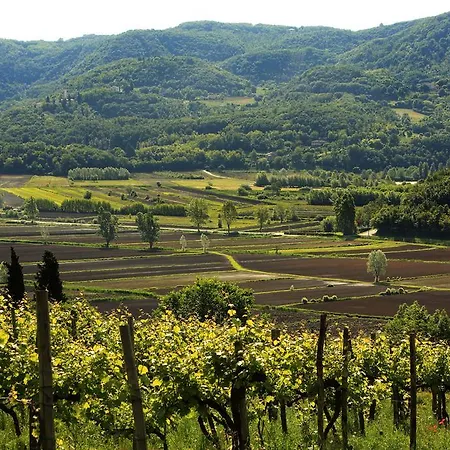 Fattoria Le Vegre Farmház *