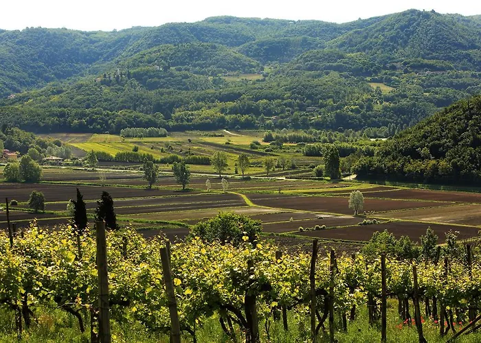 Fattoria Le Vegre ファームステイ *