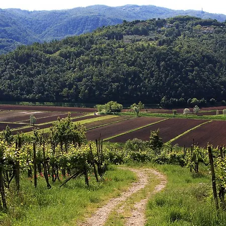 Fattoria Le Vegre *