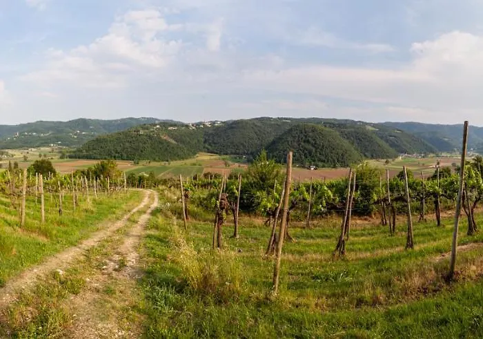 Fattoria Le Vegre Arcugnano
