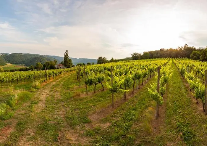 Fattoria Le Vegre Farm stay