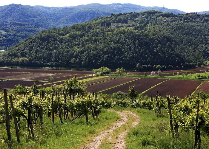 Fattoria Le Vegre *
